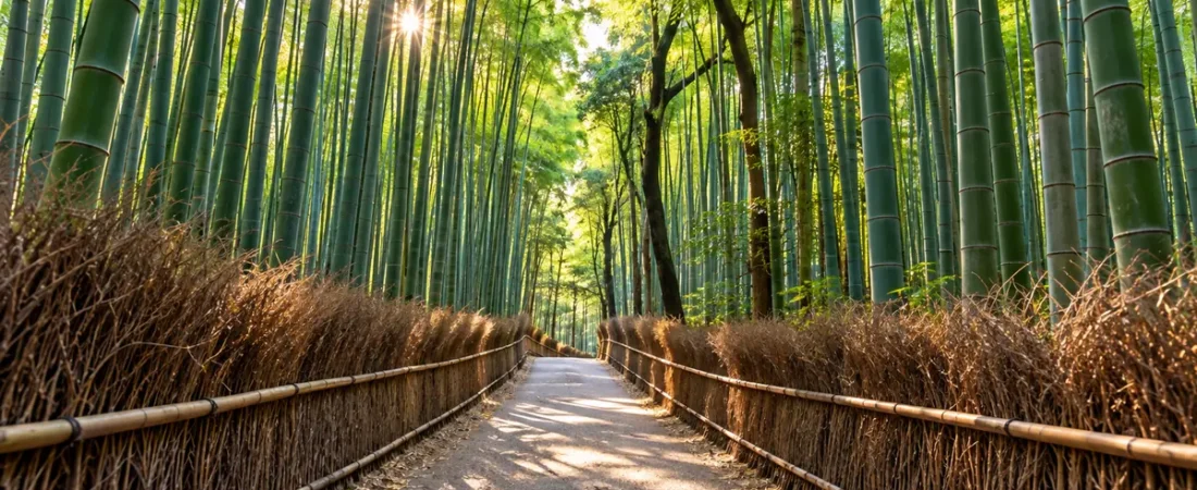 3 Days in Kyoto Itinerary: The Perfect First-Time Visit 3 Days in Kyoto Itinerary: The Perfect First-Time Visit