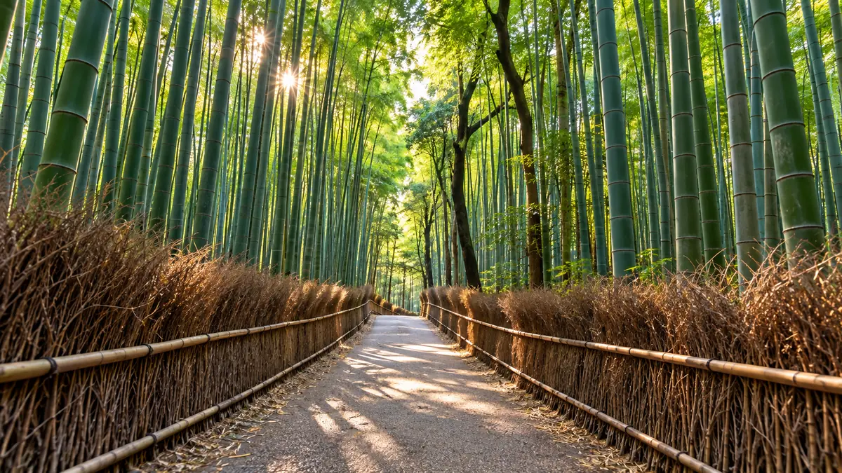 3 Days in Kyoto Itinerary: The Perfect First-Time Visit 3 Days in Kyoto Itinerary: The Perfect First-Time Visit