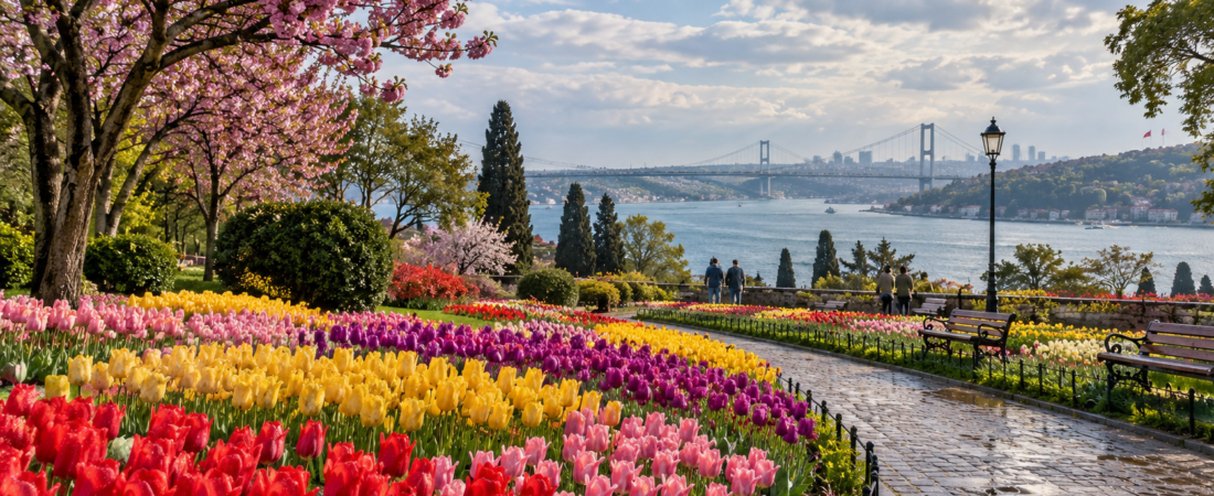 Best Time to Visit Istanbul: Weather, Crowds & Prices Best Time to Visit Istanbul: Weather, Crowds & Prices