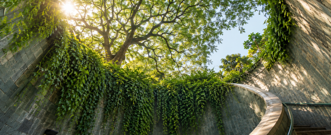 Best Free Things to Do in Singapore: 25 Attractions and Experiences