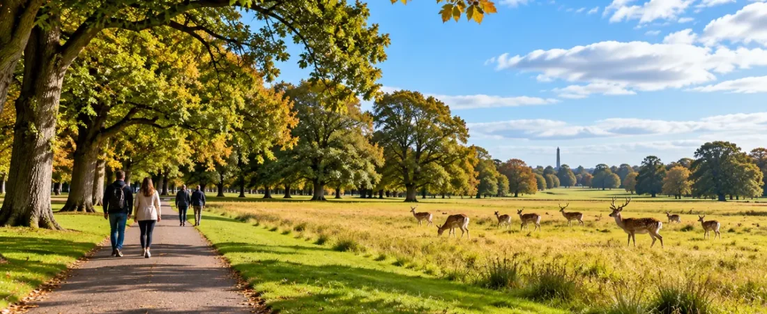 15 Best Free Things to Do in Dublin 15 Best Free Things to Do in Dublin